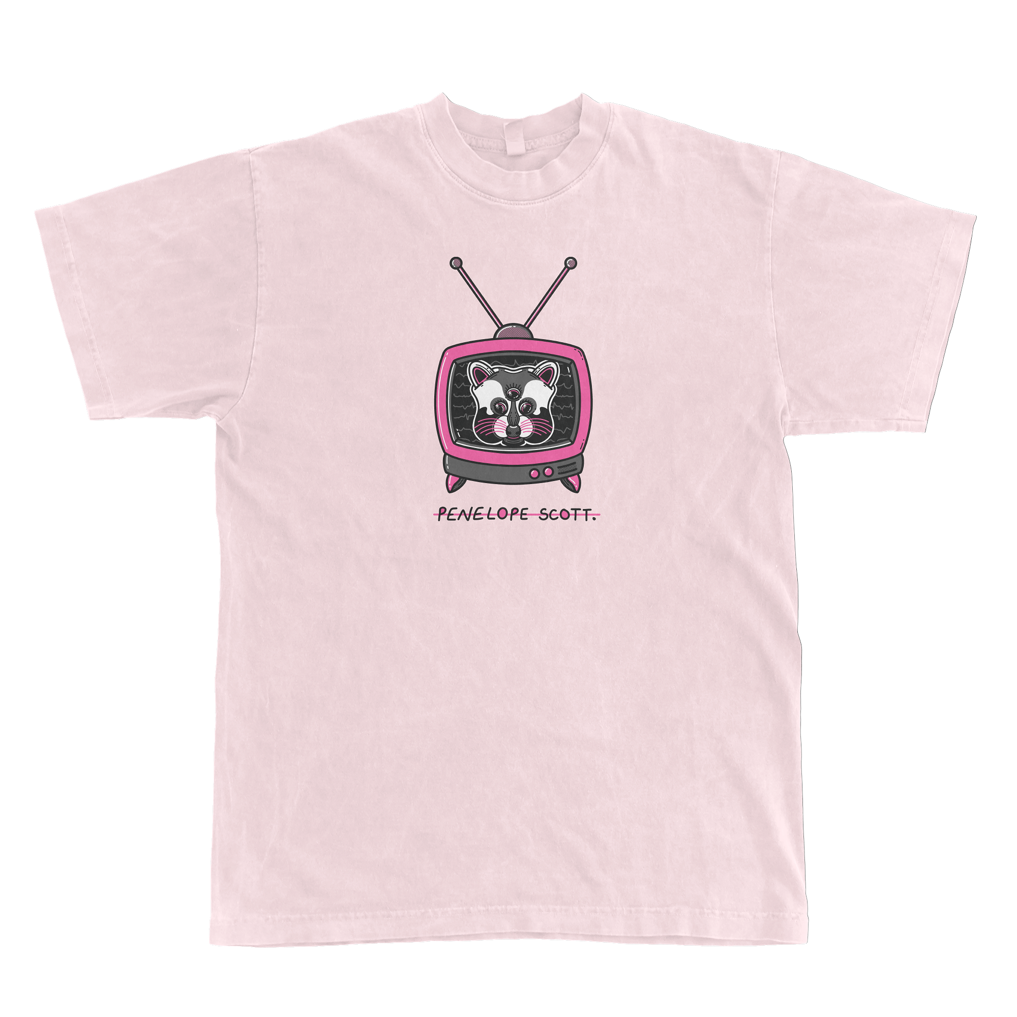 Raccoon Tour Tee