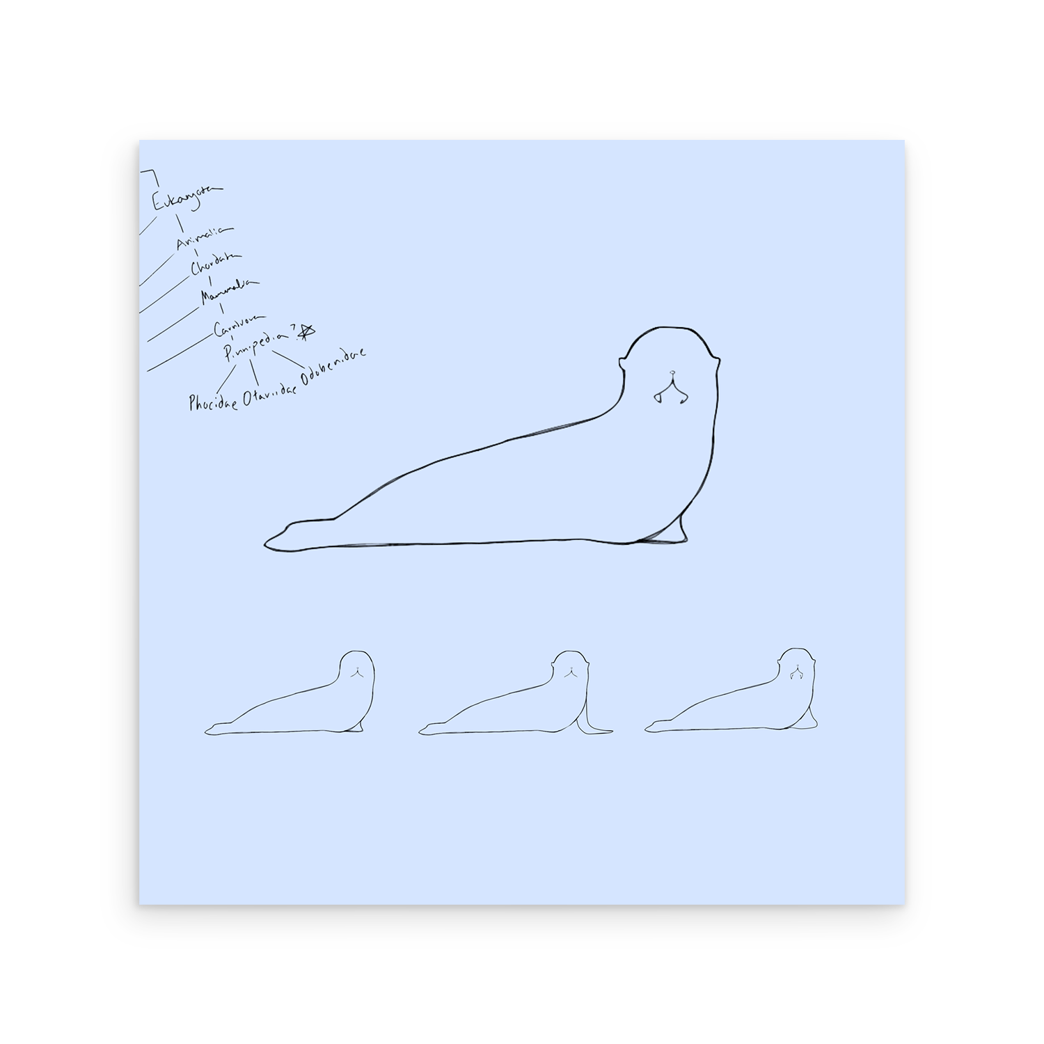 Water Dogs LP - Baby Blue Opaque